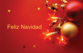 Días festivos y ocasiones especiales holiday card 27