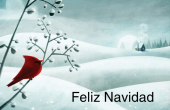 Días festivos y ocasiones especiales holiday card 4