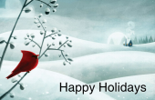 Holiday & Special Occasions holiday card 4