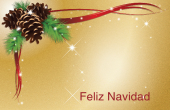Días festivos y ocasiones especiales holiday card 111