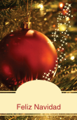Días festivos y ocasiones especiales holiday card 104