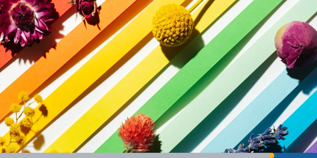 Rainbow colored paper stripes background with dry multicolor flowers