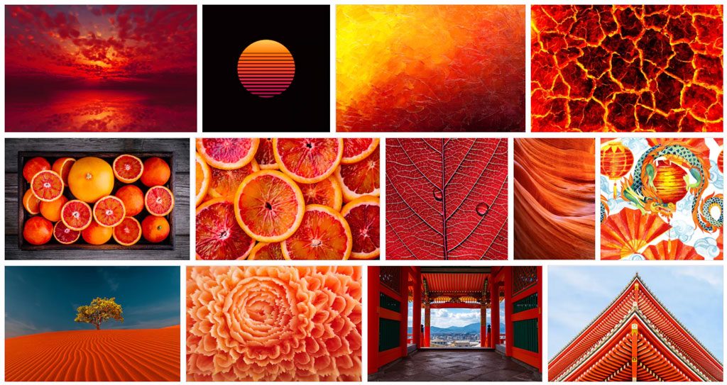Various images depicting shades of oragne